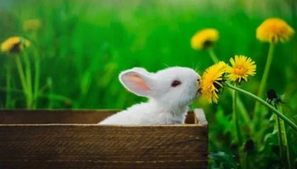 开云电竞app-浙江稠州关键比赛失利需反思，浙江稠州队名单