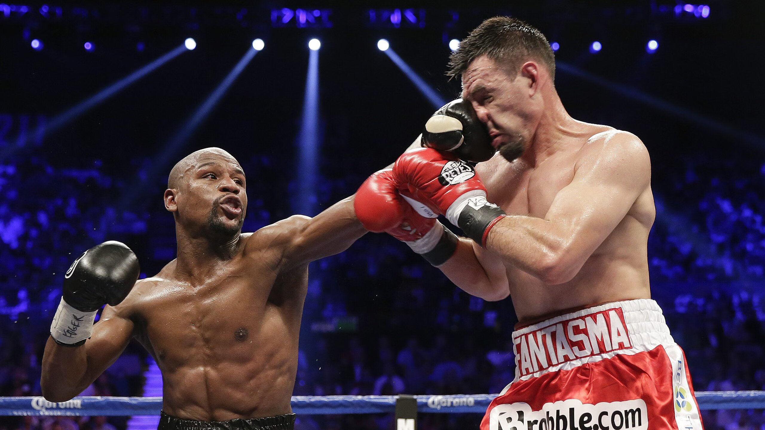 Team Liquid对阵LCK战队回顾，lck各大战队成员